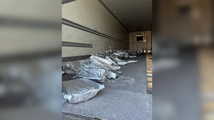 запленета марихуана